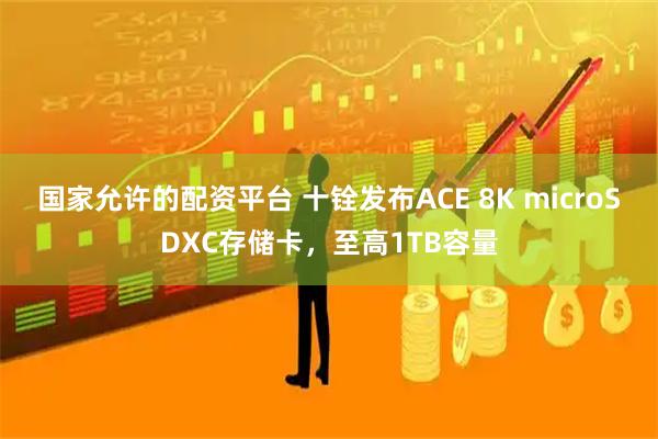 国家允许的配资平台 十铨发布ACE 8K microSDXC存储卡，至高1TB容量